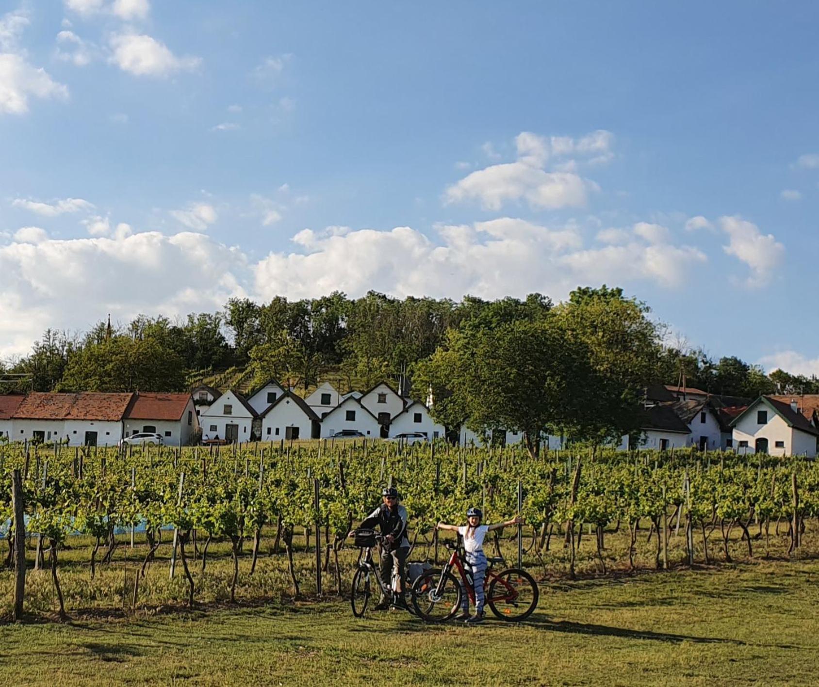 Weingut Bohrn Himmelbett Hotel Herrnbaumgarten ภายนอก รูปภาพ